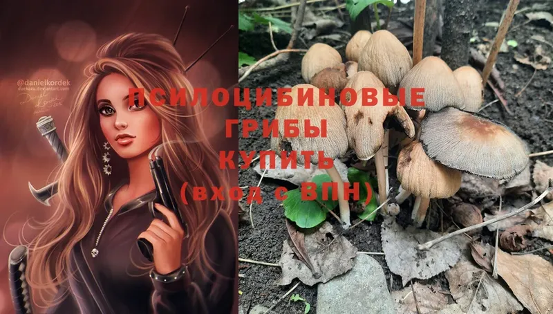 OMG зеркало  Челябинск  Псилоцибиновые грибы Psilocybe 